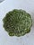 Early 20th Century Green Majolica Footed Pedestal Plate Featuring a Cabbage Leaf Pattern For Sale - Image 4 of 5
