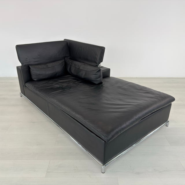 Animal Skin Modular Sofa Ds-76 From De Sede, 1970s For Sale - Image 7 of 18
