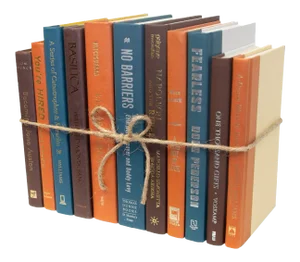 Decorative Books - Rustic Spruce Book Bundle - 1 Foot of Blue and Orange Books