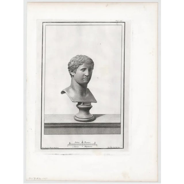 1767 engraving of a marble bust, probably Doryphoros.