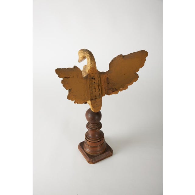 Italian Artist, Eagle, 1800s, Carved and Gilded Walnut For Sale - Image 5 of 10