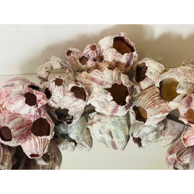 1970s Coastal Sculptural Barnacles Shell Round Mirror For Sale In Miami - Image 6 of 7