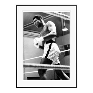 Cassius Clay: Boxing Champion Black Framed Archival Pigment Print For Sale