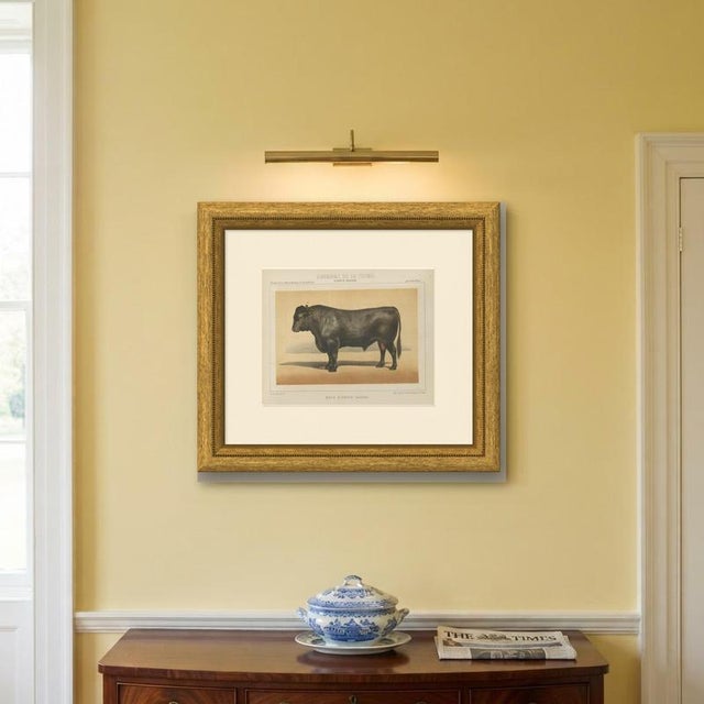 Paper Olivier De Penne, Angus Bull, Scottish Cattle, 1863, Chromolithograph For Sale - Image 7 of 9