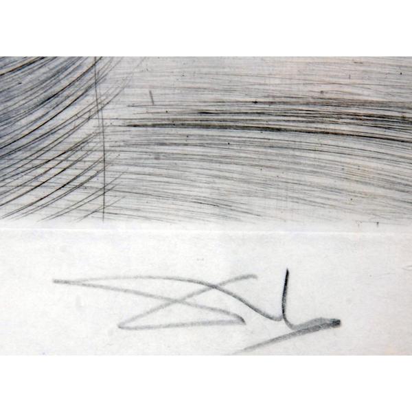 Salvador Dali 1904-1989: Les Amours de Cassandré, lithograph on Japan Paper 79/96, Hand-colored etching hand-signed Dali...