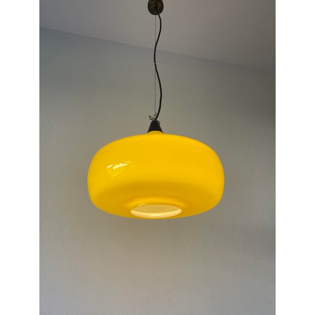 Mid-Century L114 Murano Ceiling Lamp by Oreste Vistosi and Peter Peltzel for Vetreria Vistosi, 1960s For Sale - Image 10 of 18