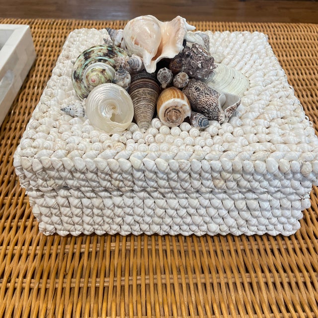 Nautical 1960s White Shell Box For Sale - Image 3 of 8