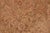 Shabby Chic 1990's Pak-Persian Taupe/Green Wool Rug - 6'1'' X 9'8'' For Sale - Image 3 of 9