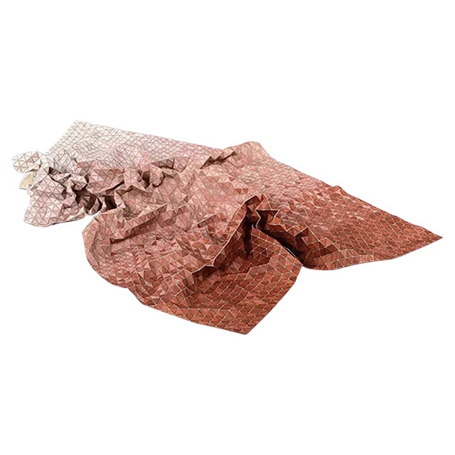 Fading Wooden Textiles by Elisa Strozyk For Sale