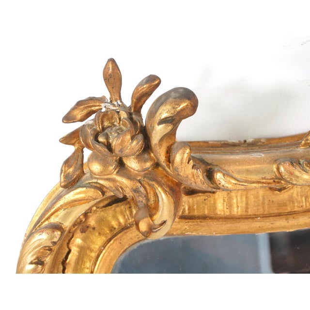 Early 20th Century Antique European Louis XV Rococo Wall Mirror For Sale - Image 5 of 11