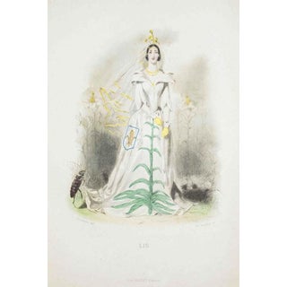 J. J. Grandville, Lilies, Animated Flowers Vol. I, 1847, Lithograph For Sale