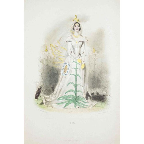 J. J. Grandville, Lilies, Animated Flowers Vol. I, 1847, Lithograph For Sale