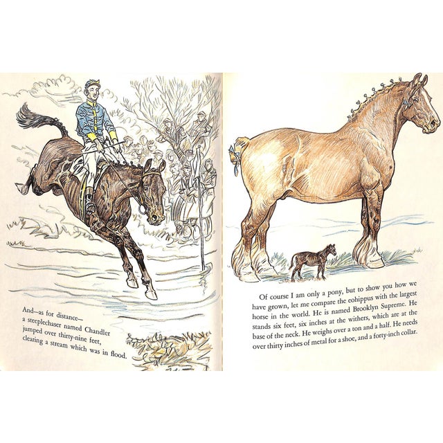 Paper "Your Pony's Trek Around the World" 1956 Brown, Paul For Sale - Image 7 of 15