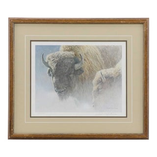 Late 20th Century Robert Bateman "Wood Bison" Lithograph Framed, Signed For Sale