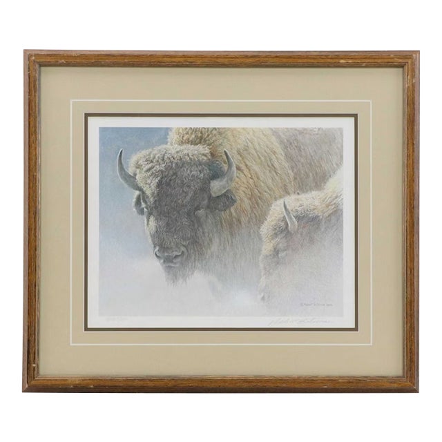 Late 20th Century Robert Bateman "Wood Bison" Lithograph Framed, Signed For Sale