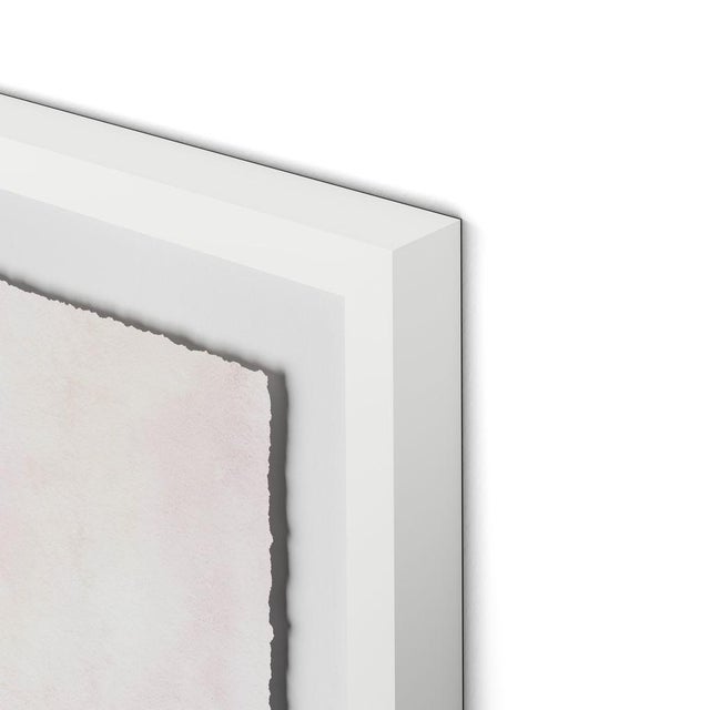 DESCRIPTION: Blush Botanical 2 by Lia Burke Libaire in White Frame, Medium Art Print on Paper SPECIFICATIONS: Type: Giclée...