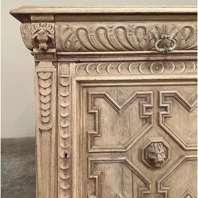 19th Century Flemish Renaissance Confiturier ~ Cabinet in Stripped Oak For Sale - Image 9 of 12