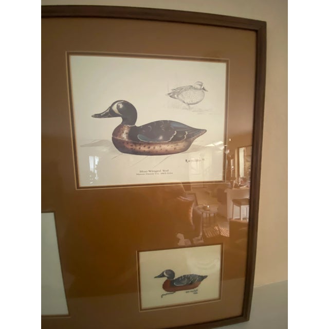 Vintage 1980s Brownlee & Ann Modahl Duck Image and Cross Stitch Collaboration - Matted and Framed For Sale - Image 4 of 8