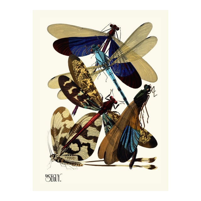 Dragonfly Insects Plate 02 by Emile-Allain Séguy, Vintage Art Print Reproduction, 18" × 24" For Sale