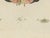 19th Century Bertuch, Walking Leaf and Chinese Lantern Fly, 1805, Print For Sale - Image 5 of 12