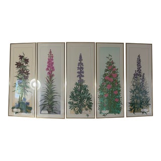 Vintage 1980s Andie Thrams Framed Tall Botanical Wildflowers Lithographs-Set of 5 For Sale