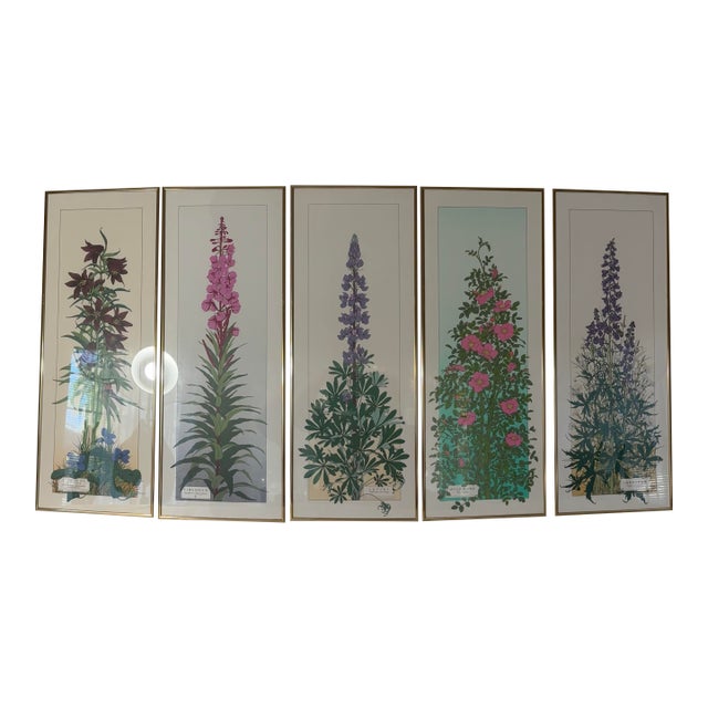 Vintage 1980s Andie Thrams Framed Tall Botanical Wildflowers Lithographs-Set of 5 For Sale