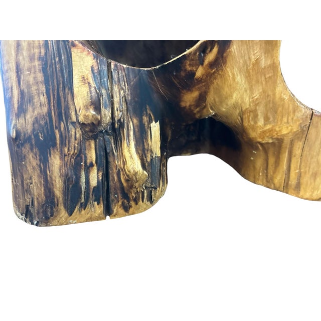 Amorphic Handcrafted Root Wood Wine Rack For Sale In Greensboro - Image 6 of 9