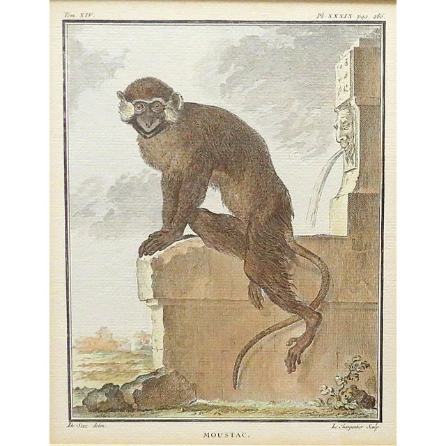 FREE SHIPPING ANYWHERE IN THE CONTINENTAL US! This is a one in a series of 3 antique French copper engravings I am selling...