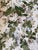 Traditional Lee Jofa Maisie Linen - Tan/Leaf Fabric 2 Yards For Sale - Image 3 of 7