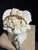 Step into a studio-turned-sanctuary. This sale features a series of original works born from a fascination with the ornate...