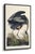 This framed Great Blue Heron canvas art by John James Audubon is made to order and presented in a black pinewood frame....