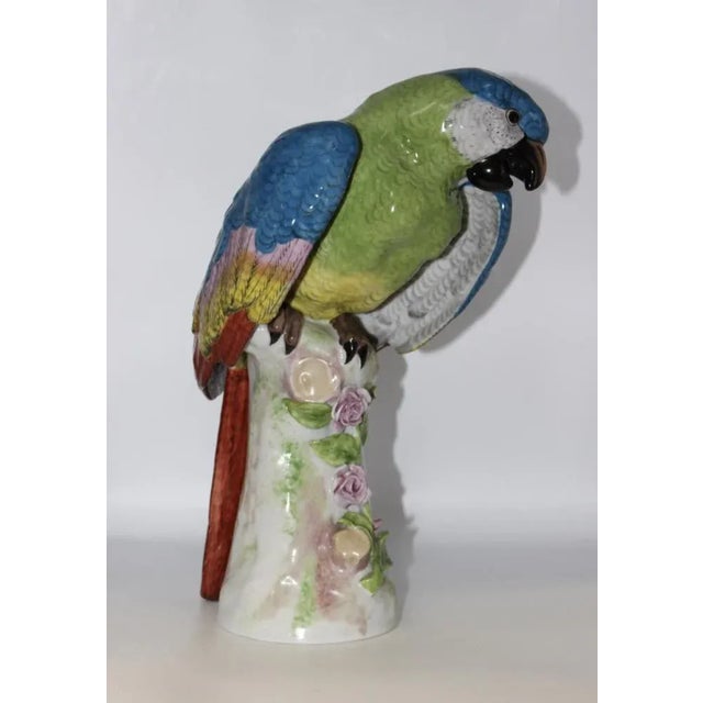 Porcelain Parrot in the style of Meissen, 1940s For Sale - Image 9 of 11