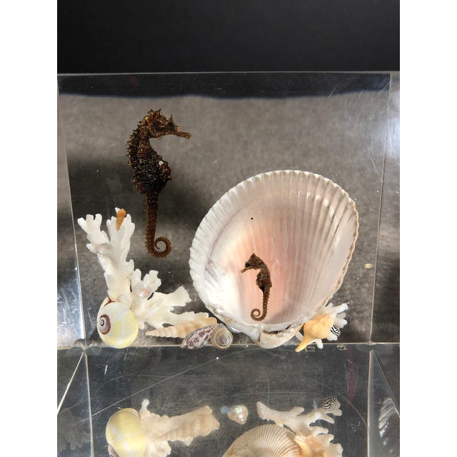 Mid 20th Century Pair of Whimsical Clear Bookends With Seashells and Seahorse For Sale - Image 4 of 12