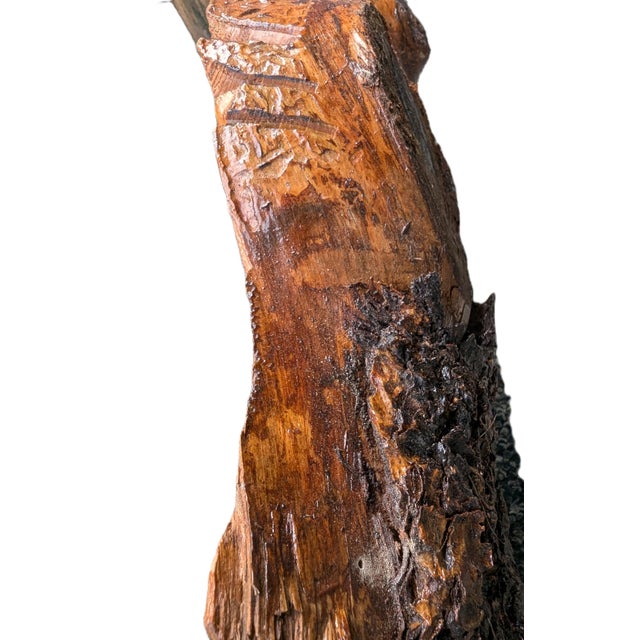 2010s Primitive Futurism Wooden Wall Sculpture Titled "Alpha Predator" With Rough Inlaid Stone (Signed by Artist John Carnright) For Sale - Image 5 of 9