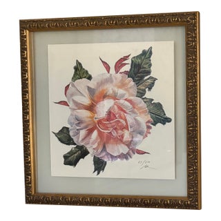 Rare Vintage Fred Hollis Nall Rose Giclee, Numbered, Framed, and Signed by the Artist For Sale