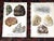 Authentic Antique 1916 Mineral Lithographs - Set of 12 For Sale - Image 4 of 8