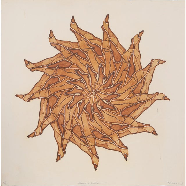Modern Franklin, Kaleidoscope, Lithograph For Sale - Image 3 of 3