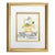 1960s Picasso Lithograph 63 Floral Watch Framed For Sale