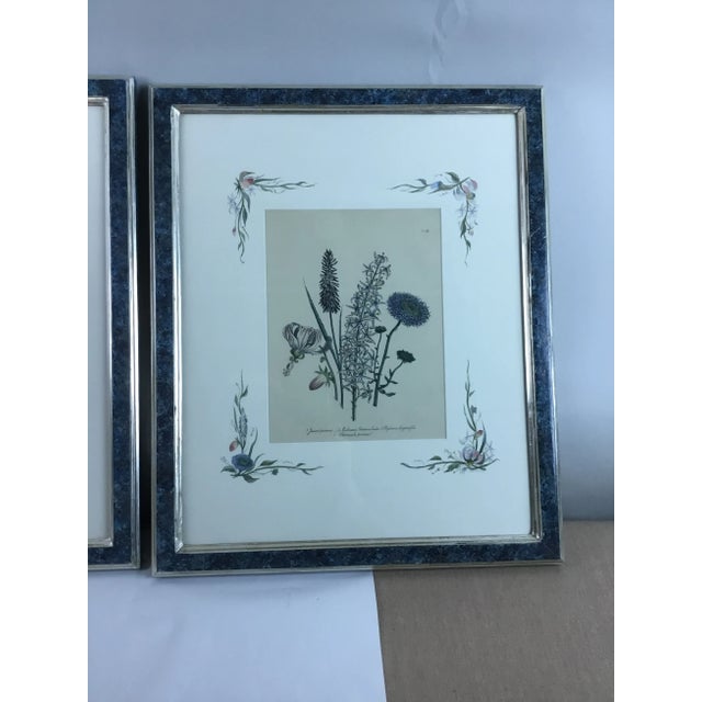 Shabby Chic English Botanical Water Color Silhouette Framed Prints by Julia Winship - a Pair For Sale - Image 3 of 13