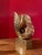 Vintage Signed Brass Nautilus Shell Sculpture For Sale In New York - Image 6 of 9