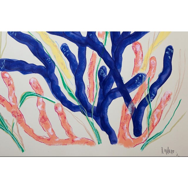 Paint 2026, Naturalistic Illustration Style Drawing of Marine Biology, Acrylic Paint and Gouache Crayon on Paper by Romina Milano For Sale - Image 7 of 8