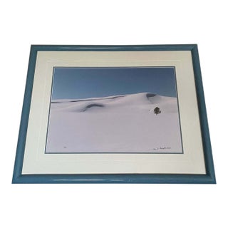 1990s Thomas Mangelsen Signed First Crossing Hayden Valley Photo Yellowstone Art 45/950 For Sale