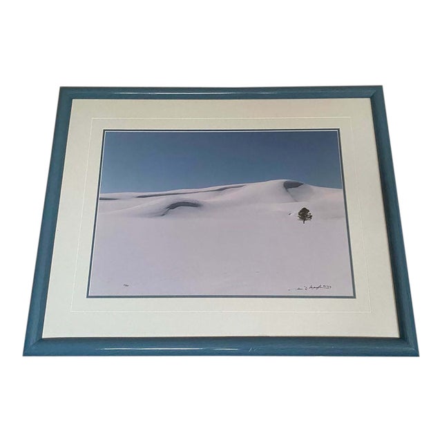 1990s Thomas Mangelsen Signed First Crossing Hayden Valley Photo Yellowstone Art 45/950 For Sale