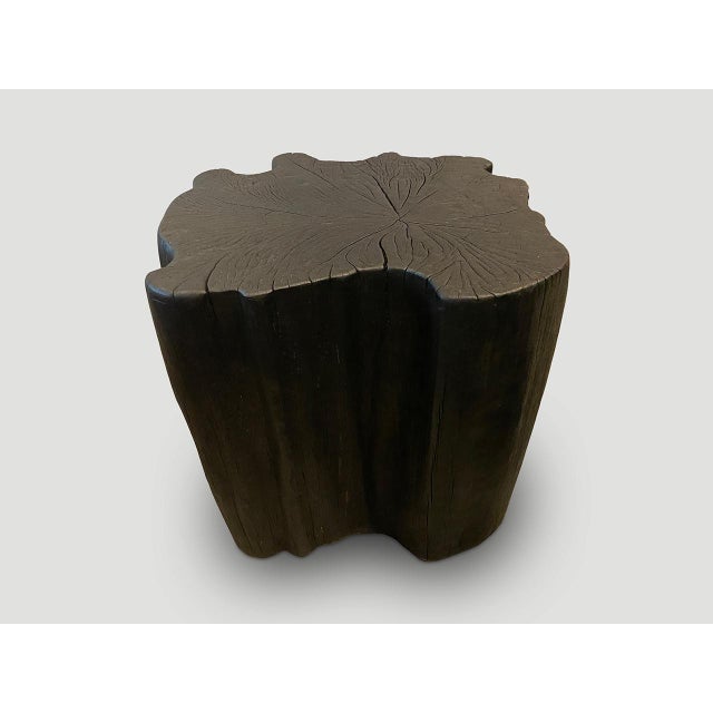 Andrianna Shamaris Amorphous Charred Side Table For Sale - Image 18 of 18