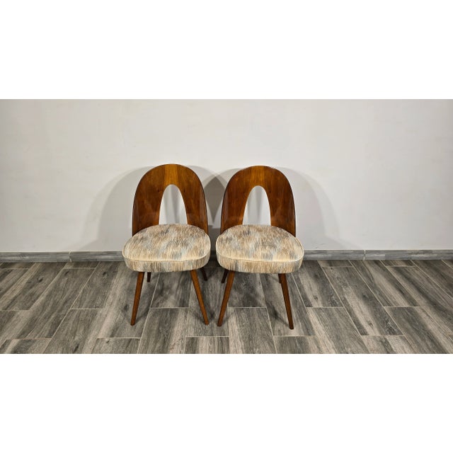 Dining Chairs by Antonin Suman, 1960s, Set of 2 For Sale - Image 15 of 17