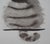 Contemporary Laszlo Tibay, Chaton touffu, Ink & Wash Drawing For Sale - Image 3 of 5
