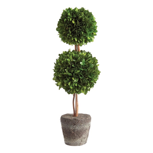 Boxwood Double Sphere Topiary Drop-In 20" For Sale
