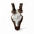 Roe Deer Trophy 37 Black Forest Antlers Mount For Sale - Image 4 of 6