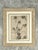 Framed Botanical Drawing With Gold Detailing For Sale - Image 13 of 14