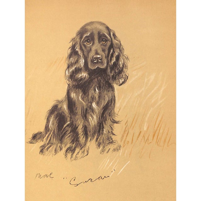 "Dogs Rough and Smooth" Book 1973 Dawson, Lucy For Sale - Image 4 of 12